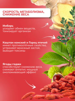 Драже из трав Для женщин с ягодой годжи, прополисом и дигидрокверцетином Алфит 6934  фото 11