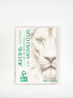 Пакет подарочный «С Новым годом», с ёлочной игрушкой и шильдиком, 31 × 40 × 11 см