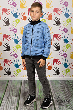 Толстовка М22165а Набивка