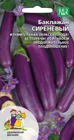 Баклажан СИРЕНЕВЫЙ  Изумительная окраска плода! Обильное и длительное плодоношение!