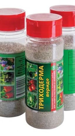 ВХ Триходерма Вериде фл 120 гр