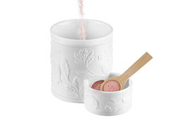 Банка д/соли 500 мл 15,5*10*14,5 см "Птички на ветке" с деревянной ложкой и крышкой