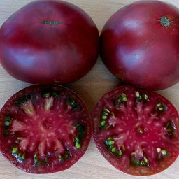 7188Т Томат Шабоньер дю Берри 10шт