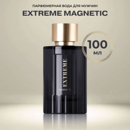 Dilis Парфюмерная вода для мужчин Extreme Magnetic Экстрим Магнетик 100 мл