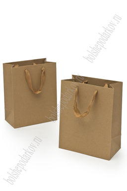 Пакет крафтовый 18*23*10 см (12 шт), SF-7489