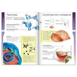 Набор книжек-шпаргалок Мир природы и человека, 6 шт. - Буква-ленд фото 3