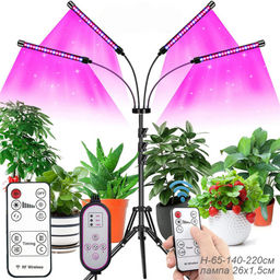 Светильник настольный / Фитолампа для растений с 4 лампами на подставке (Пульт дистанционного управления) + адаптер для розетки / FITLED5-3 /уп 10/ - Галеонтрейд фото 9