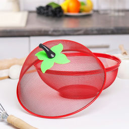 Сито с крышкой для хранения продуктов Доляна «Вкус», d=25 см, МИКС