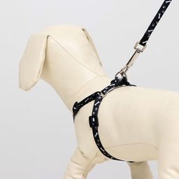 Комплект Классика, поводок 120 х 1 см, ОГ 28-47 см, чёрный - Пижон фото 7