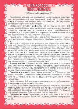 Мордовник шароголовый (семена) - Мариславна фото 4