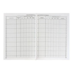 Классный журнал для 5-11 классов А4, 96 листов, твёрдая обложка, белый блок