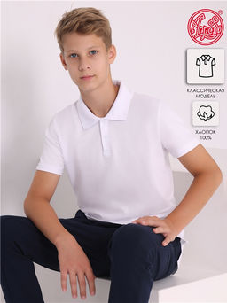 Футболка-поло 1ПДПК4486090
