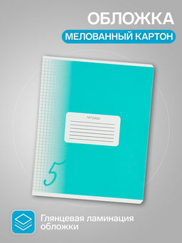 Тетради 10 штук, 18 листов в клетку «Пятёрка», обложка мелованный картон, ВД-лак, блок офсет, 5 видов по 2 штуки