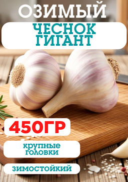 Чеснок Гигант фракция 60+ 450гр