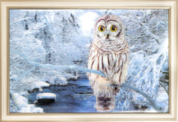 Картина 5D 40х60 162 / ZR8845B-H39H23 /