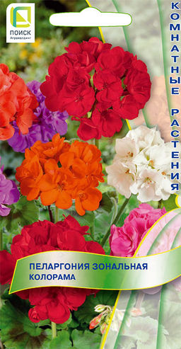 Пеларгония зональная Колорама (ЦВ) (К) 0,05гр. - Поиск фото 2