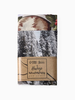 Набор кухонных полотенец Доляна. Зимняя сказка: 35?60 см-2 шт., 100% хлопок, рогожка, 160 г/м?