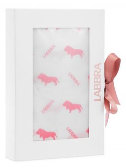 Подарочная коробка LABBRA NEW, с прозрачной крышкой 33х22х6