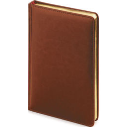 Ежедневник недатированный А4 Sidney Nebraska (коричневый) 3-539/03