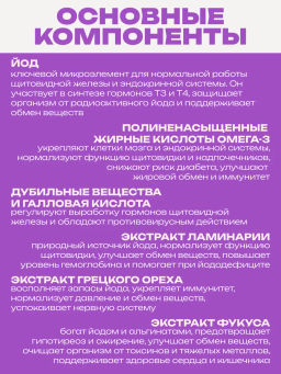 Бад Фитосбор Фитол-14 ЭндокриноФит Алфит Плюс 1871  фото 3