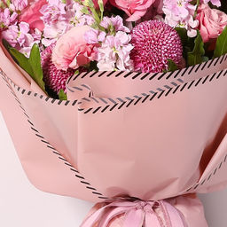 Пленка матовая с кантом, персиковый, 0,58 х 10 м