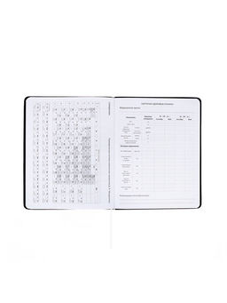 Дневник школьный 1-11 класс, deVENTE. Realistic, искусственная кожа, шелкография