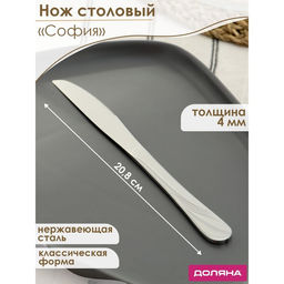 Цена за 6 шт. Нож столовый Доляна «София», длина 20.8 см, толщина 4 мм, нержавеющая сталь, серебристый