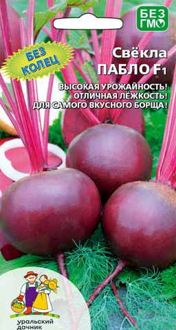 Свёкла ПАБЛО F1 Один из самых популярных Голландских гибридов!