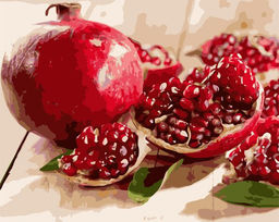 Картина по номерам на холсте и подрамнике 40х50 см