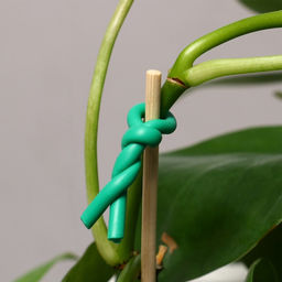 Проволока подвязочная, 5 м, d=3 мм, мягкая, Greengo  фото 6