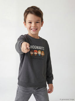 Harry Potter Bask?l? Erkek ?ocuk Penye Ti??rt