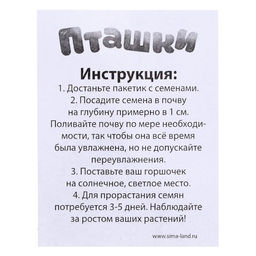 Набор для опытов, для детей Пташки, выращиваем травку, растение в жёлтом горшочке - Эврики фото 4
