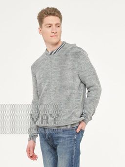 Джемпер мужской 222-12292