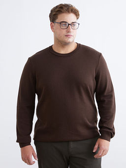 Bisiklet Yaka Erkek Triko Kazak