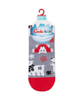 Цена за 2 пары CONTE-KIDS Новогодние носки серый