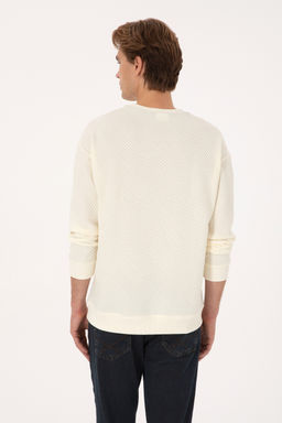 Erkek Krem Sweatshirt - U.s. polo assn фото 12