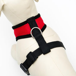 Шлейка мягкая из неопрена, размер M, ОШ 34 см, ОГ 32-42 см, красная - Пижон фото 3