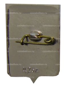 Значок Старая Русса