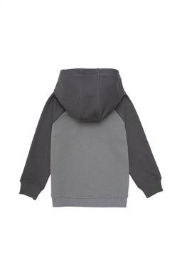 Серый свитшот для мальчика Неожиданная скидка в корзине - U.s. polo assn фото 2