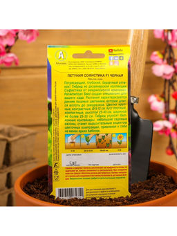 Набор семян Петуния «Софистика», черная, F1, крупноцветковая, 4 шт., 2 шт., «Мой выбор»