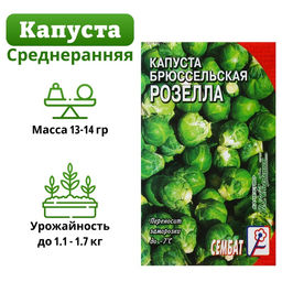 Цена за 5 шт. Семена Капуста брюссельская "Розелла", 0,4 г