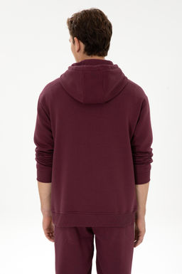 Erkek Oversize Fit Kap__onlu _ardonlu Bordo Basic Sweatshirt - U.s. polo assn фото 5