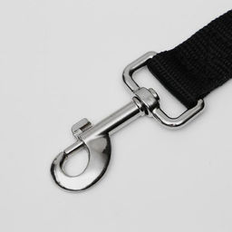 Поводок 3 м х 2,5 см, чёрный - Пижон фото 2