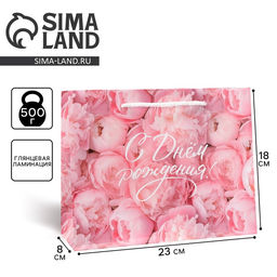 Цена за 2 шт. Пакет подарочный ламинированный, упаковка, «С Днём рождения!», MS 23 х 18 х 8 см