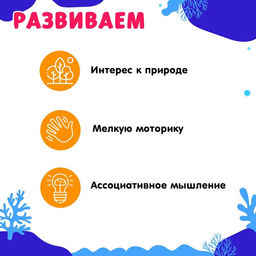 Развивающий набор с карточками Водные животные, по методике Домана - Iq-zabiaka фото 3