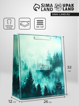 Пакет подарочный вертикальный «Подарок», 26×32×12 см