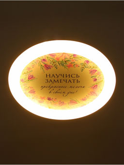 Потолочный светильник светодиодный BayerLux «Цветы», 120 Вт, LED, 49.5×49.5×6.5 см