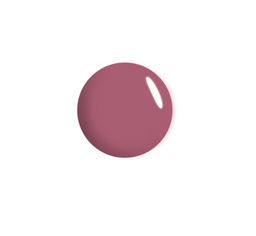 RELOUIS Блеск для губ "Paradiso" с влажным финишем тон 09 Fresh Plum