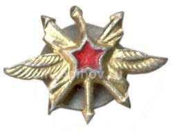 Значок Эмблема Военно воздушные силы техник