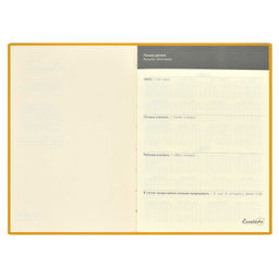 Ежедневник недатированный арт.47588/15 НАППА СИНИЙ - Феникс+ фото 8